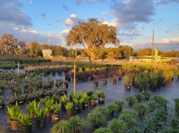 Trusted yard cleanup service for homes across Winter Haven, FL - Spirit Lake Garden Center