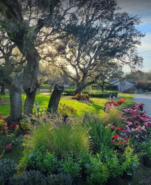 Custom residential landscaping in Winter Haven, FL - Spirit Lake Garden Center