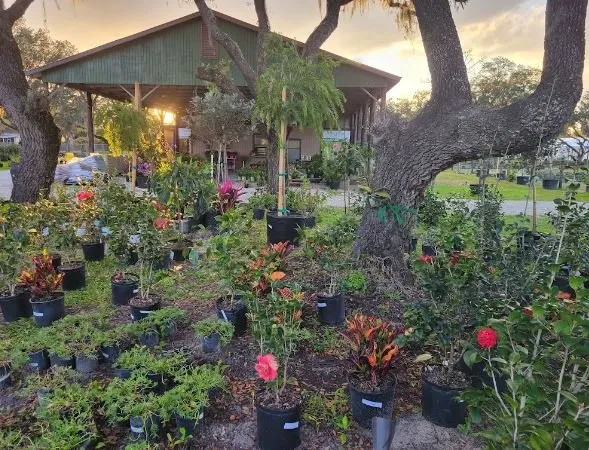 Professional garden landscaping for year-round maintenance in Winter Haven, FL by Spirit Lake Garden Center