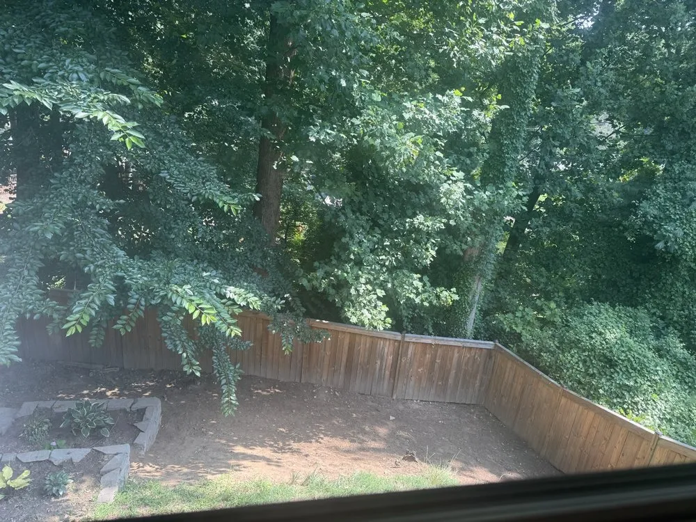 Local garden landscaping for beautiful yards across Arlington, VA - Spirit Landscaping