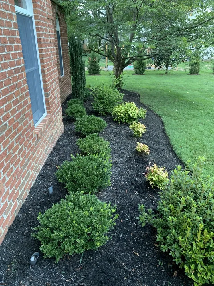 Expert residential landscaping for year-round maintenance across Arlington, VA - Spirit Landscaping