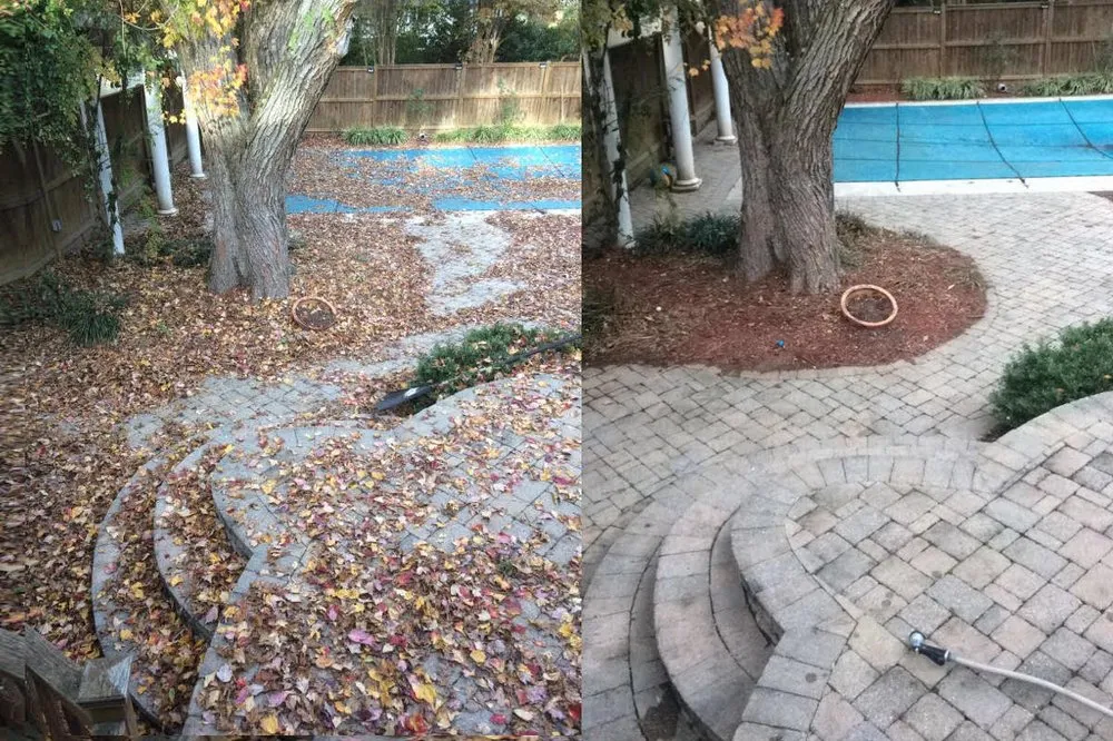 Local landscape design in Arlington, VA by Spirit Landscaping