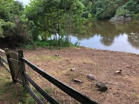 Local landscape installation in Arlington, VA by Spirit Landscaping