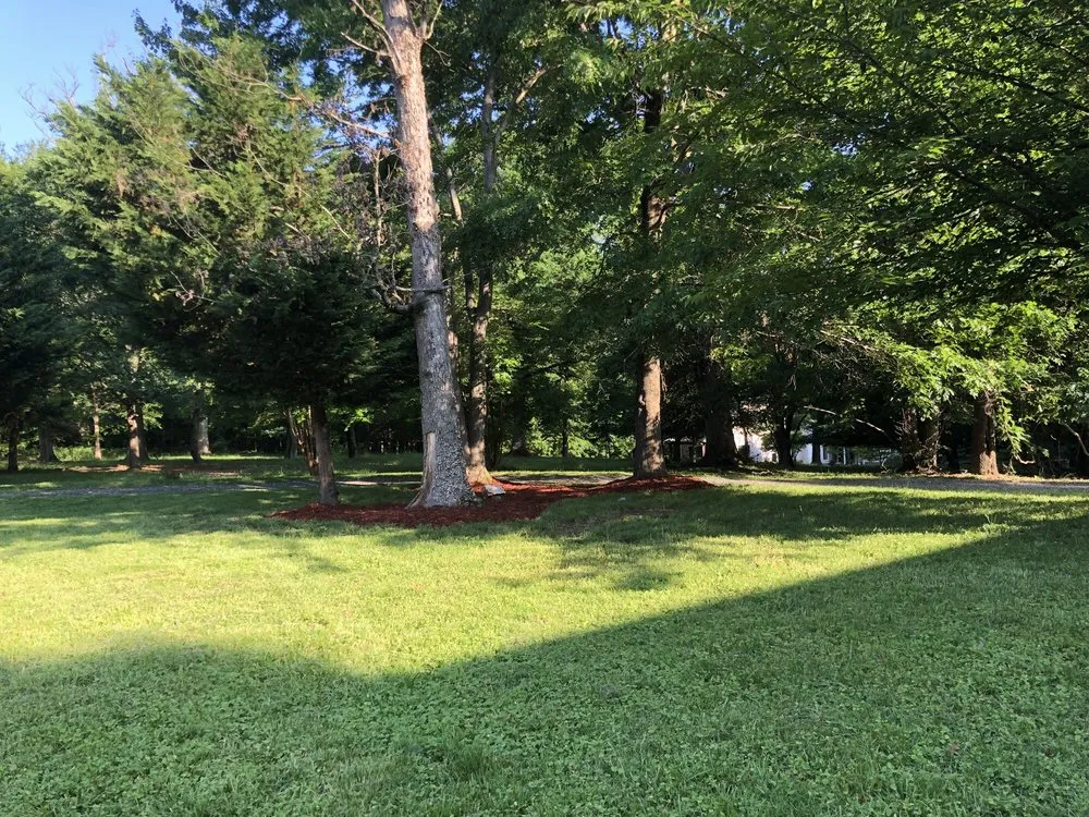 Reliable landscaping services in Arlington, VA - Spirit Landscaping