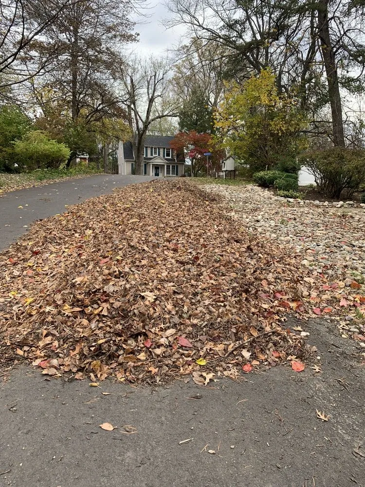 Expert garden landscaping in Arlington, VA - Spirit Landscaping