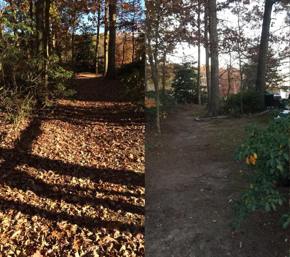 Trusted garden landscaping in Arlington, VA by Spirit Landscaping