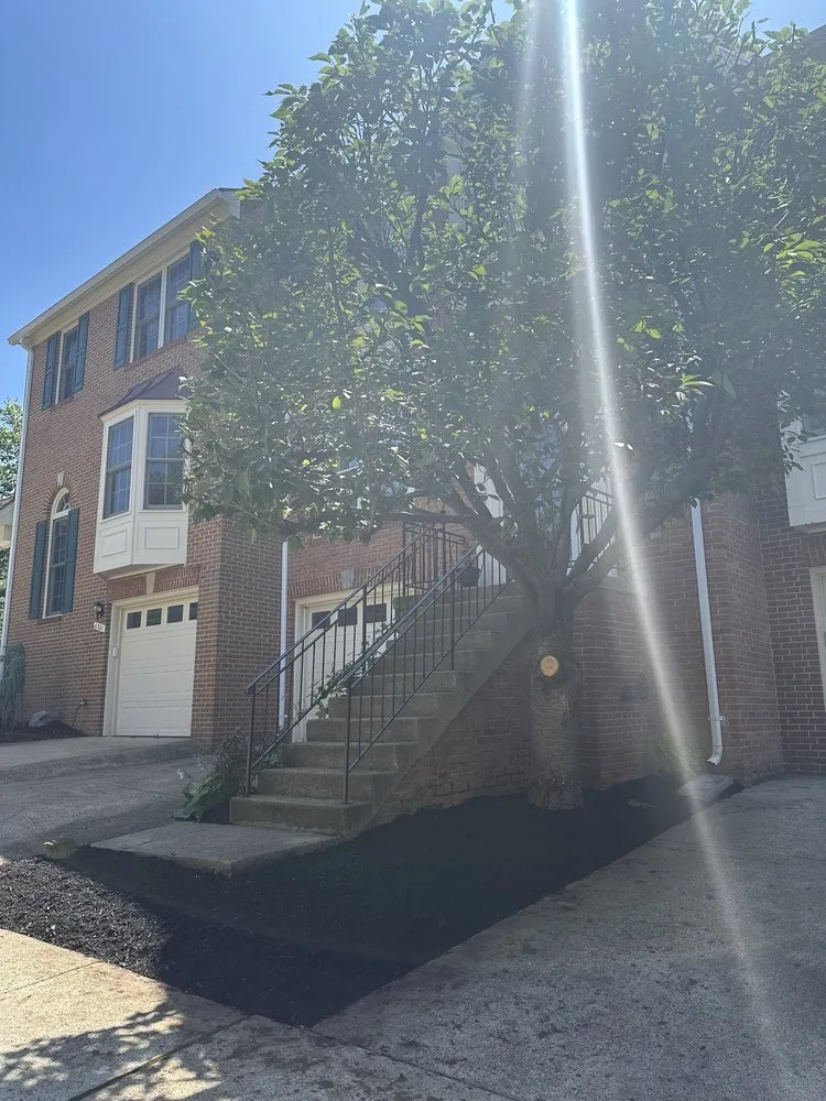 Custom landscape installation near you across Arlington, VA - Spirit Landscaping