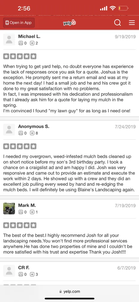 Professional outdoor landscaping in Arlington, VA by Spirit Landscaping