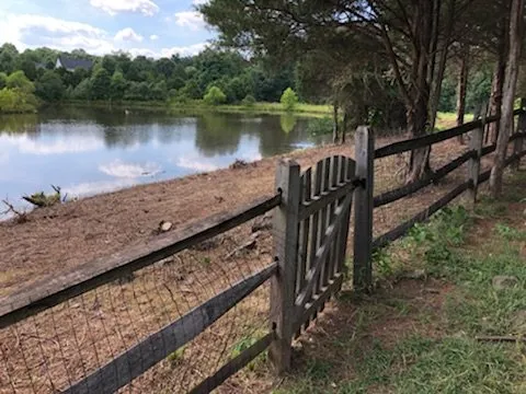 Local outdoor landscaping in Arlington, VA - Spirit Landscaping