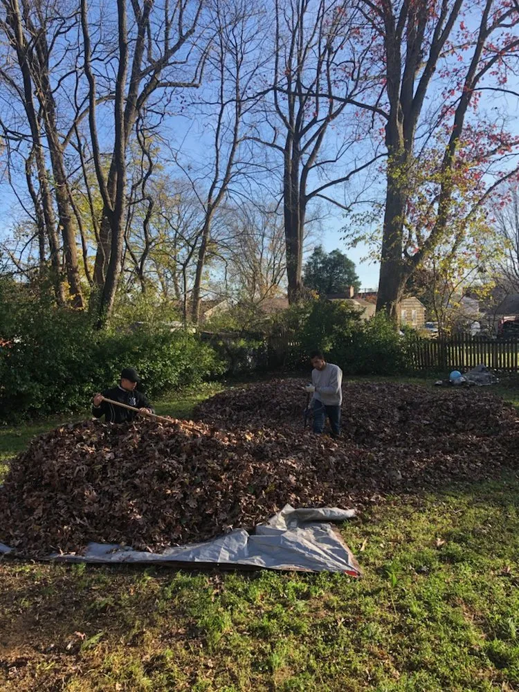 Affordable yard maintenance experts serving Arlington, VA - Spirit Landscaping