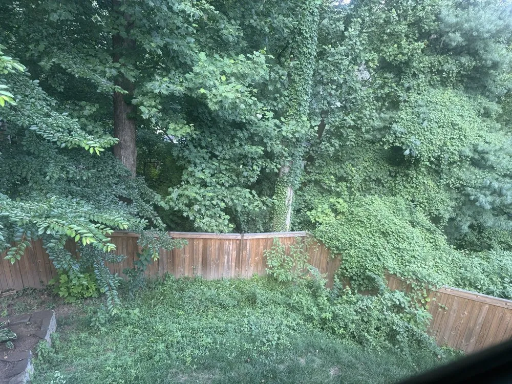 Local outdoor landscaping with custom design in Arlington, VA by Spirit Landscaping