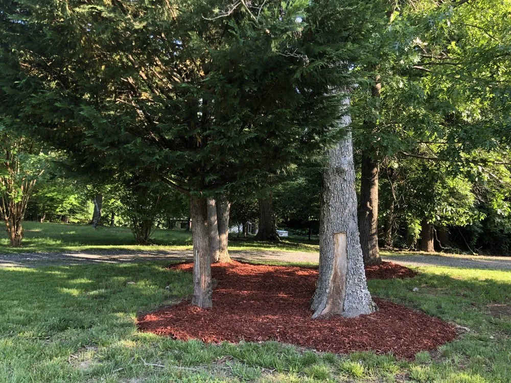 Trusted yard maintenance for outdoor upgrades across Arlington, VA - Spirit Landscaping