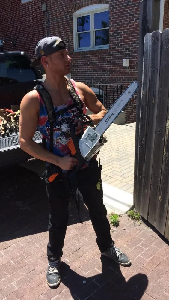 Top-rated landscape installation for year-round maintenance in Arlington, VA by Spirit Landscaping