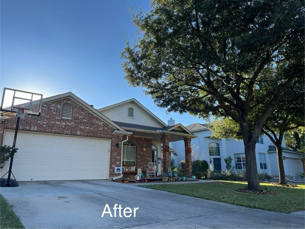 Expert yard cleanup service in Austin, TX - Spirit Scapes