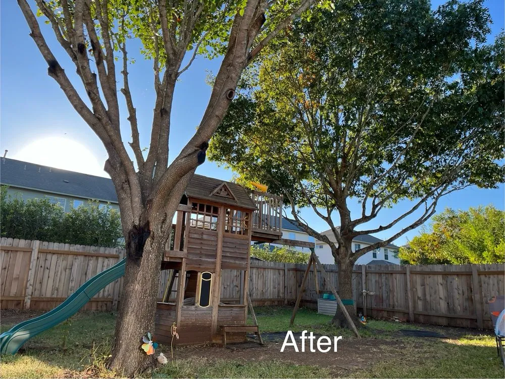 Trusted outdoor landscaping near you in Austin, TX by Spirit Scapes