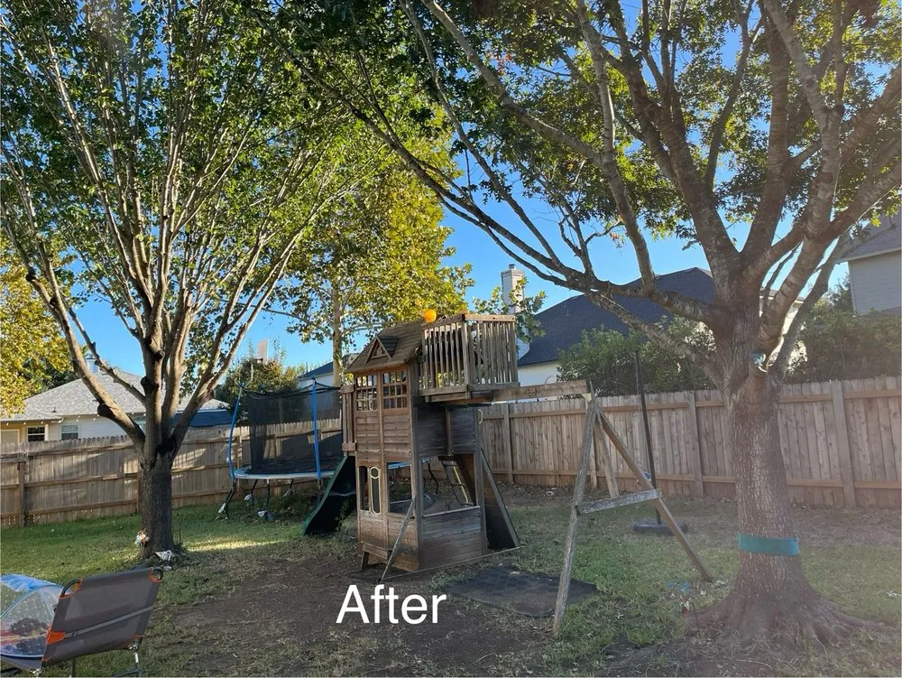 Top-rated landscaping services in Austin, TX - Spirit Scapes