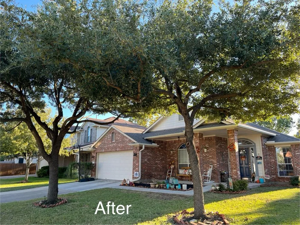 Top-rated residential landscaping in Austin, TX - Spirit Scapes