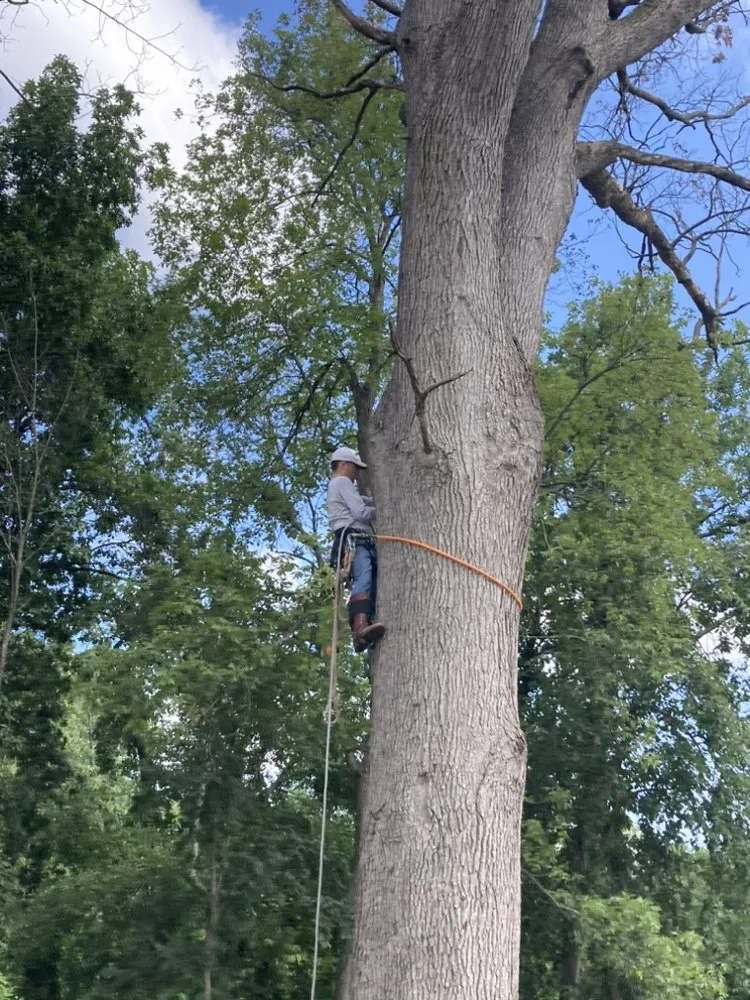 Reliable landscaping services experts serving Niles, MI - Spiro Scapes