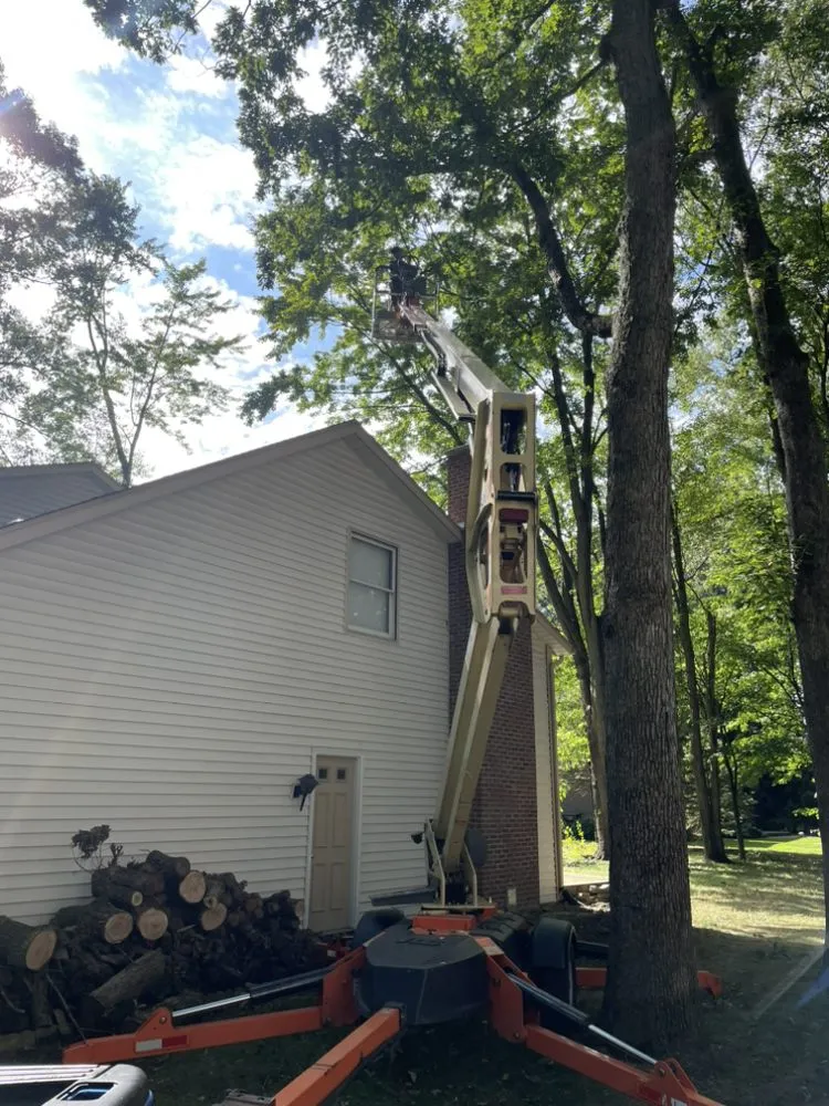 Reliable garden landscaping for year-round maintenance in Niles, MI by Spiro Scapes