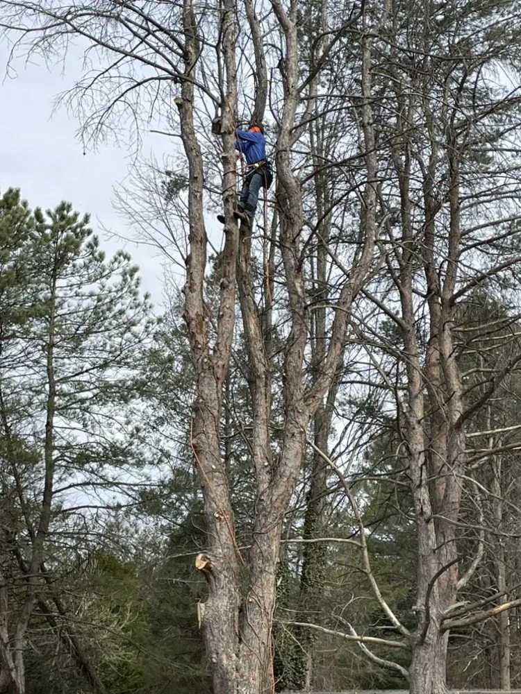 Professional garden landscaping experts serving Niles, MI - Spiro Scapes