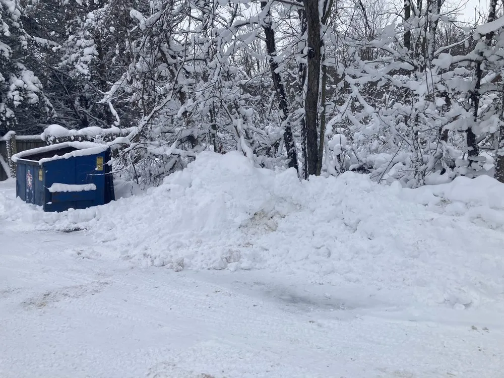 Expert yard cleanup service in Niles, MI by Spiro Scapes