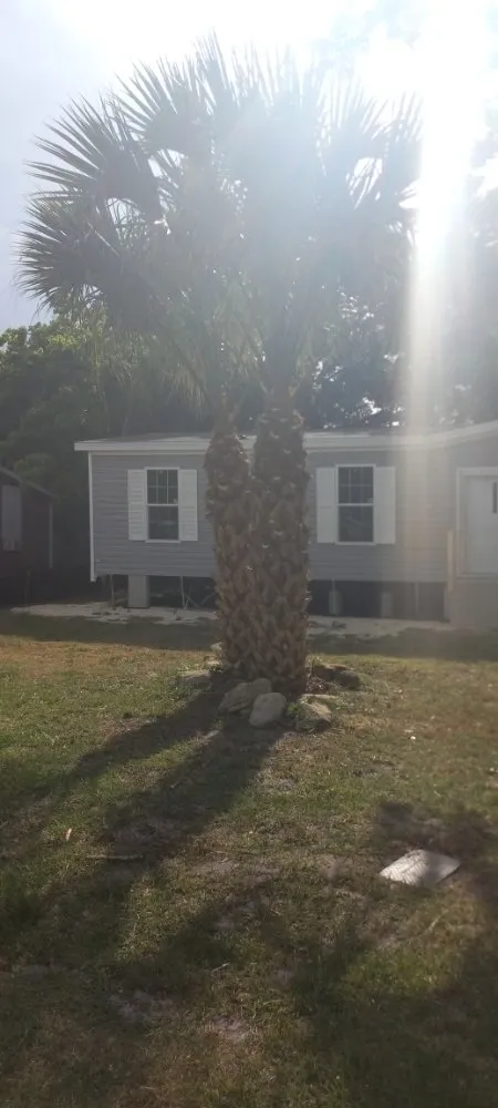 Custom lawn care service in Cocoa, FL by Spivey's Tree Pros