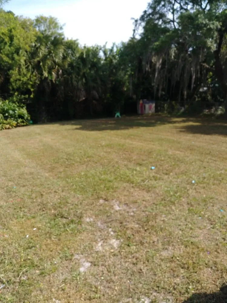 Trusted yard cleanup service in Cocoa, FL by Spivey's Tree Pros