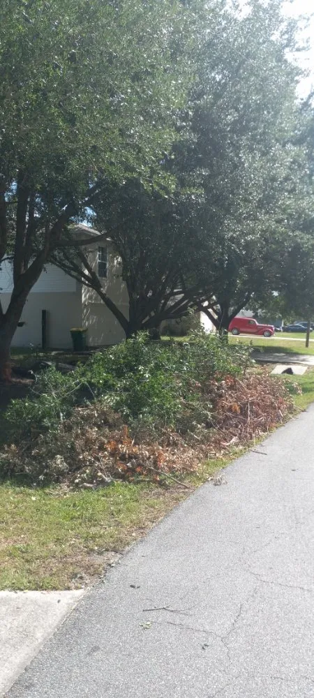 Reliable landscape installation experts serving Cocoa, FL - Spivey's Tree Pros