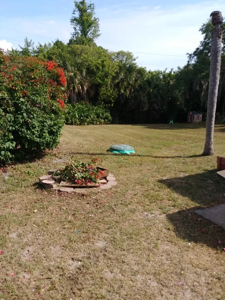 Affordable landscape installation experts serving Cocoa, FL - Spivey's Tree Pros
