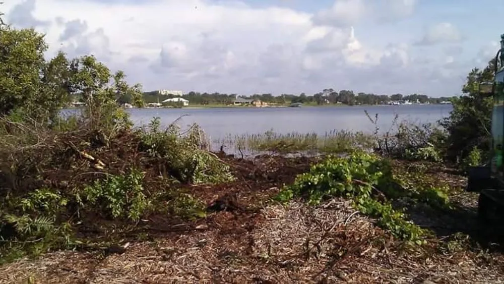 Affordable landscape installation in Cocoa, FL by Spivey's Tree Pros