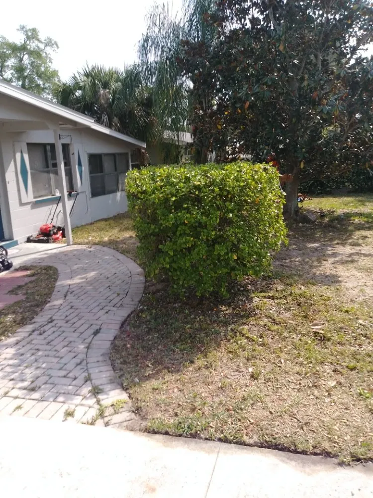 Reliable lawn care service for residential properties across Cocoa, FL - Spivey's Tree Pros