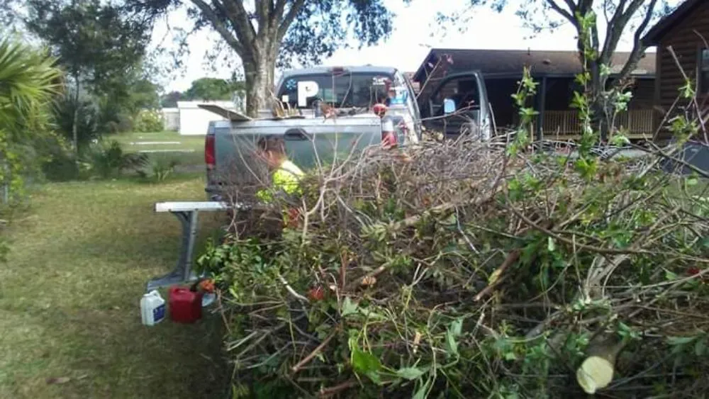 Affordable landscape design for beautiful yards across Cocoa, FL - Spivey's Tree Pros