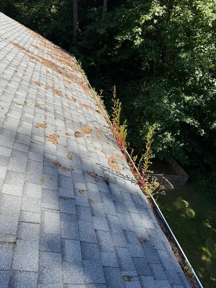 Top-rated lawn care service with custom design in Bremerton, WA by SPL Landscaping