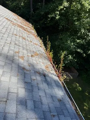 SPL Landscaping Logo