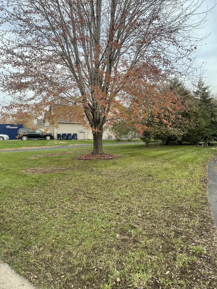 Trusted landscape installation for residential properties across Jordan, MN - Splash Bros Outdoor Services