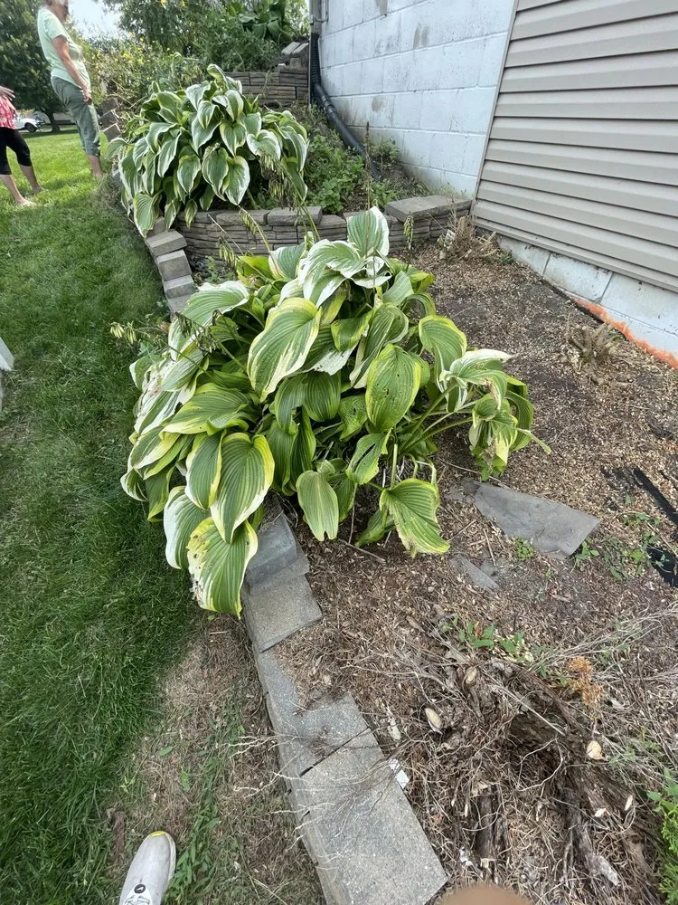 Affordable residential landscaping in Jordan, MN by Splash Bros Outdoor Services