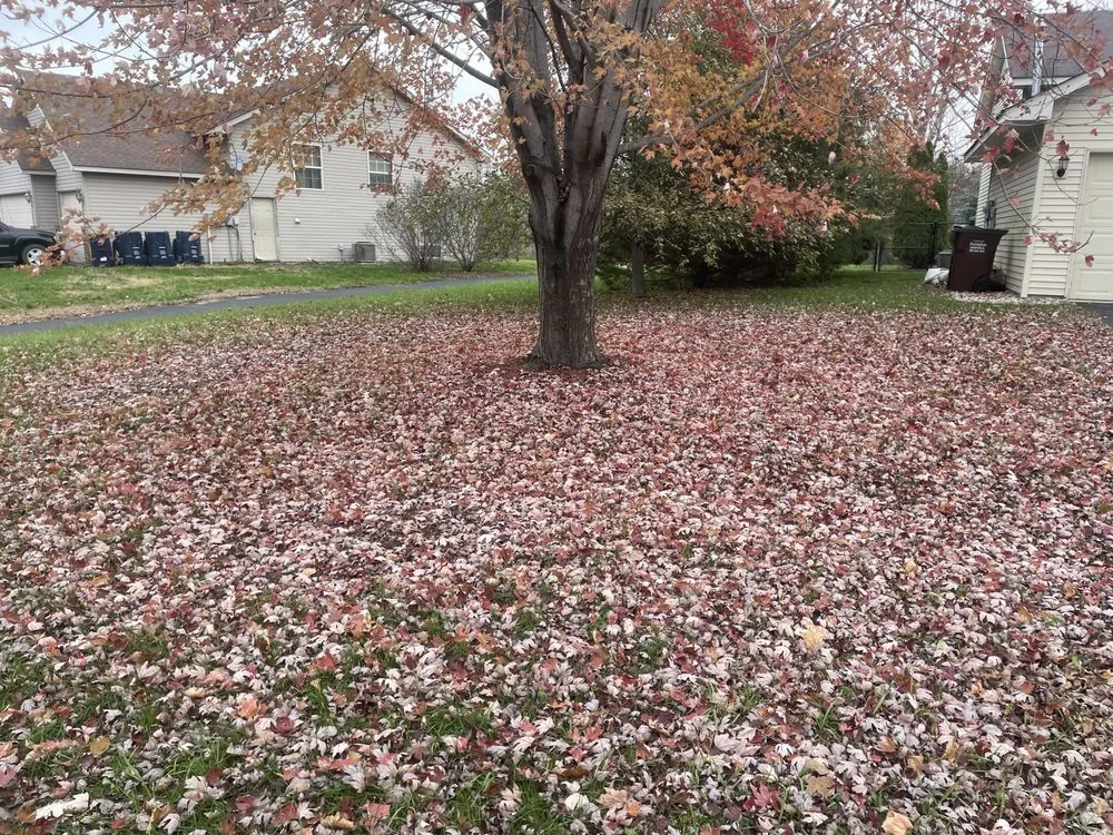 Affordable yard cleanup service experts serving Jordan, MN - Splash Bros Outdoor Services