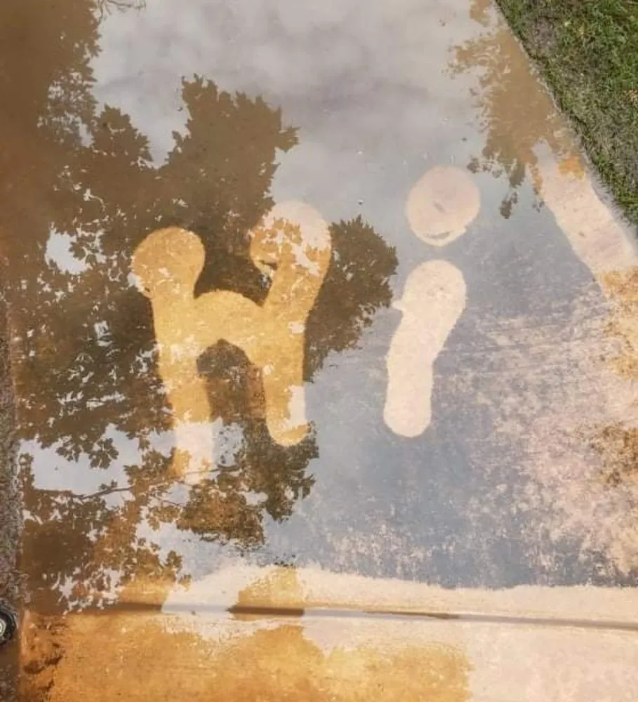 Trusted yard maintenance in Wellston, OK - Splash Exterior Cleaning