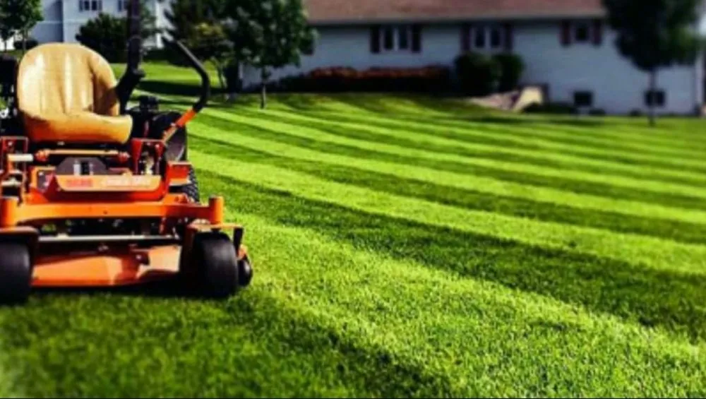 Custom landscape design for residential properties across Vischer Ferry, NY - Splash Lawn Services