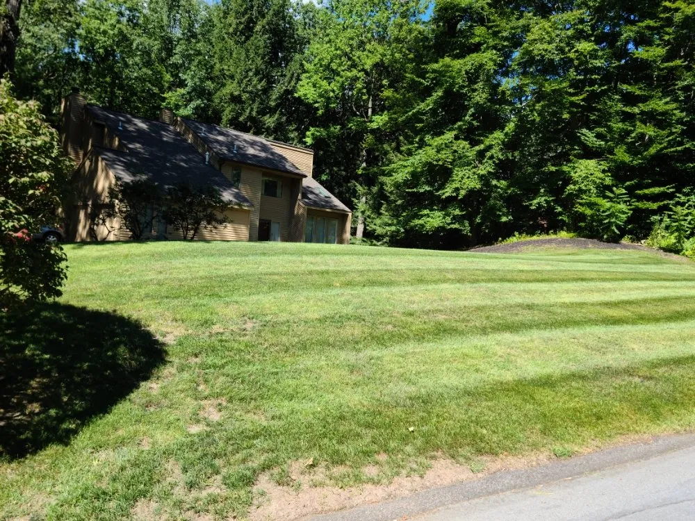 Professional lawn mowing service in Vischer Ferry, NY - Splash Lawn Services