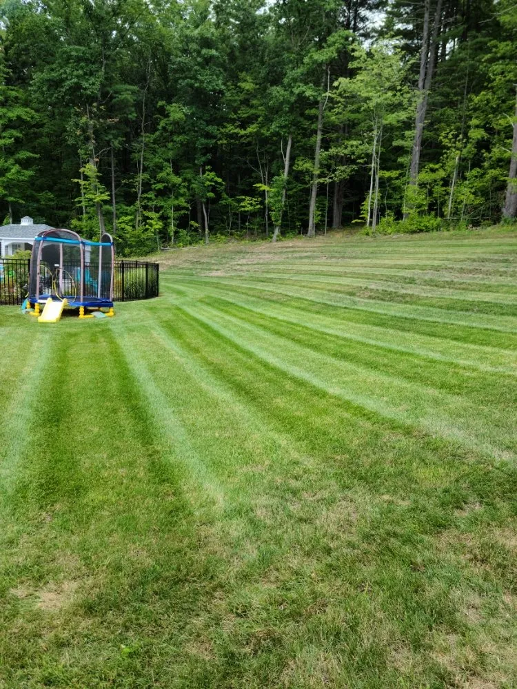Expert outdoor landscaping in Vischer Ferry, NY - Splash Lawn Services