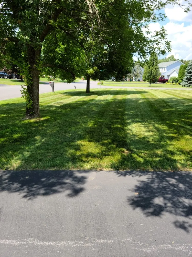 Top-rated landscape design for year-round maintenance in Vischer Ferry, NY by Splash Lawn Services