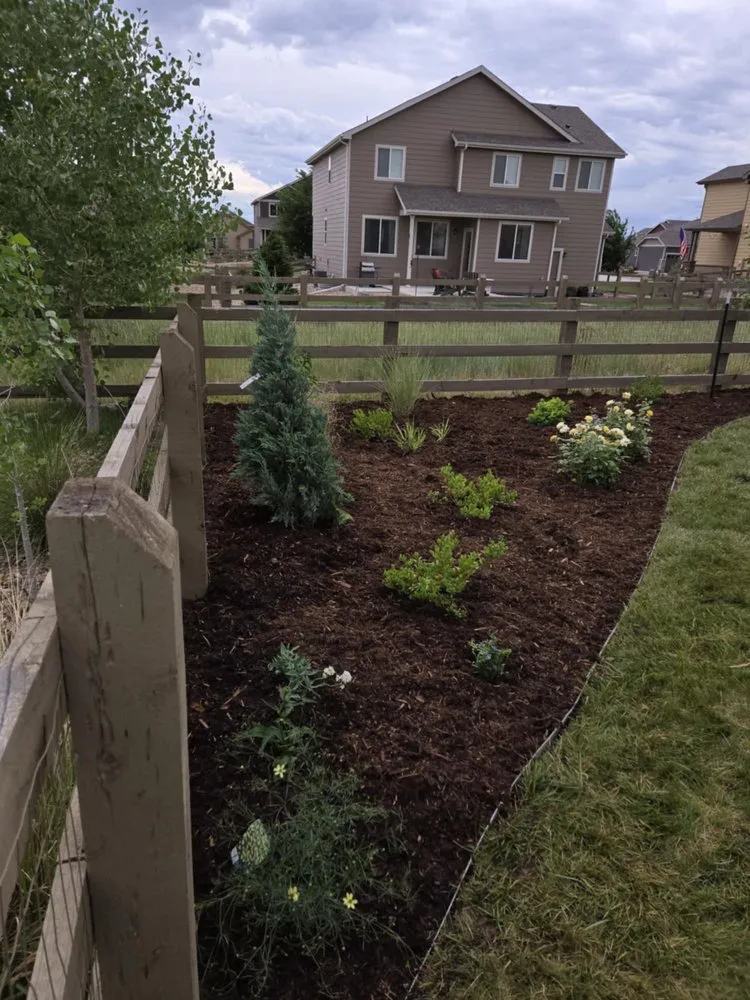 Affordable landscape installation for outdoor upgrades across Berthoud, CO - Splash Sprinkler & Landscape