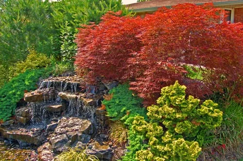 Top-rated lawn mowing service for outdoor upgrades in Commack, NY by Splendor Landscaping Designs