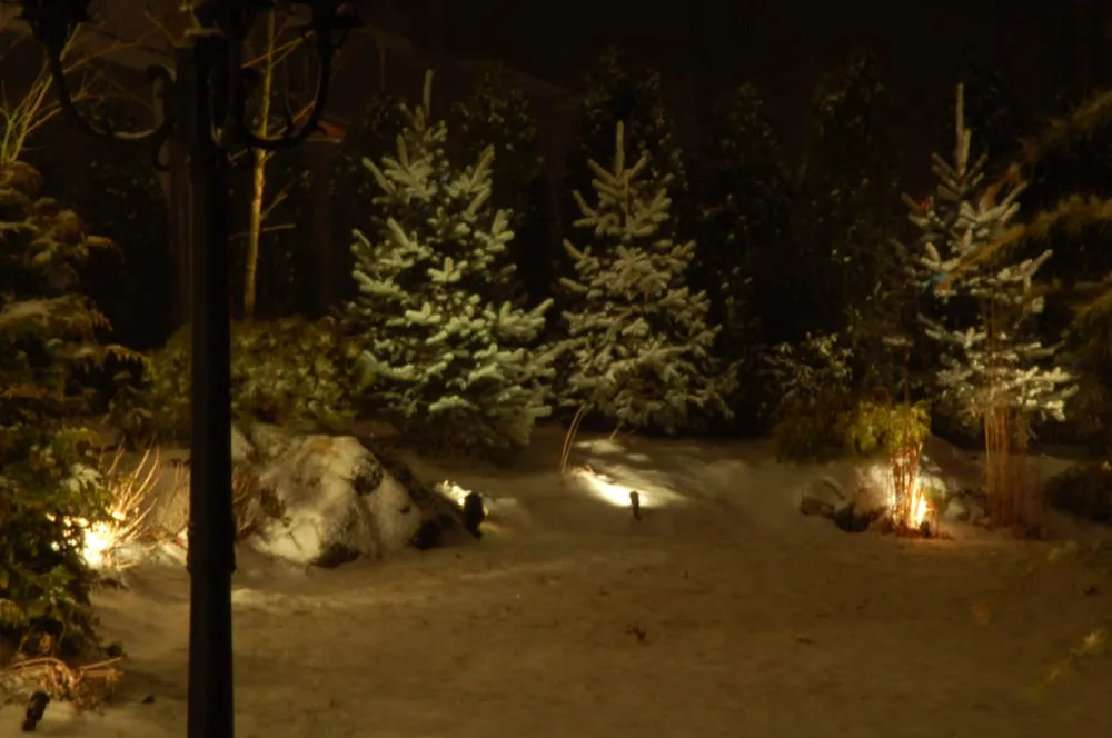 Trusted garden landscaping in Commack, NY - Splendor Landscaping Designs