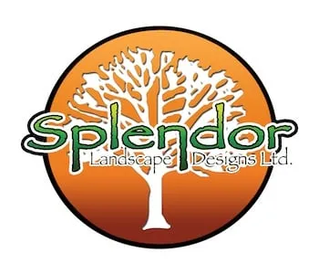 Reliable residential landscaping for year-round maintenance across Commack, NY - Splendor Landscaping Designs