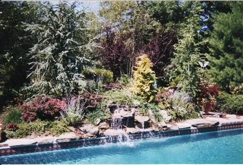 Top-rated yard cleanup service near you across Commack, NY - Splendor Landscaping Designs