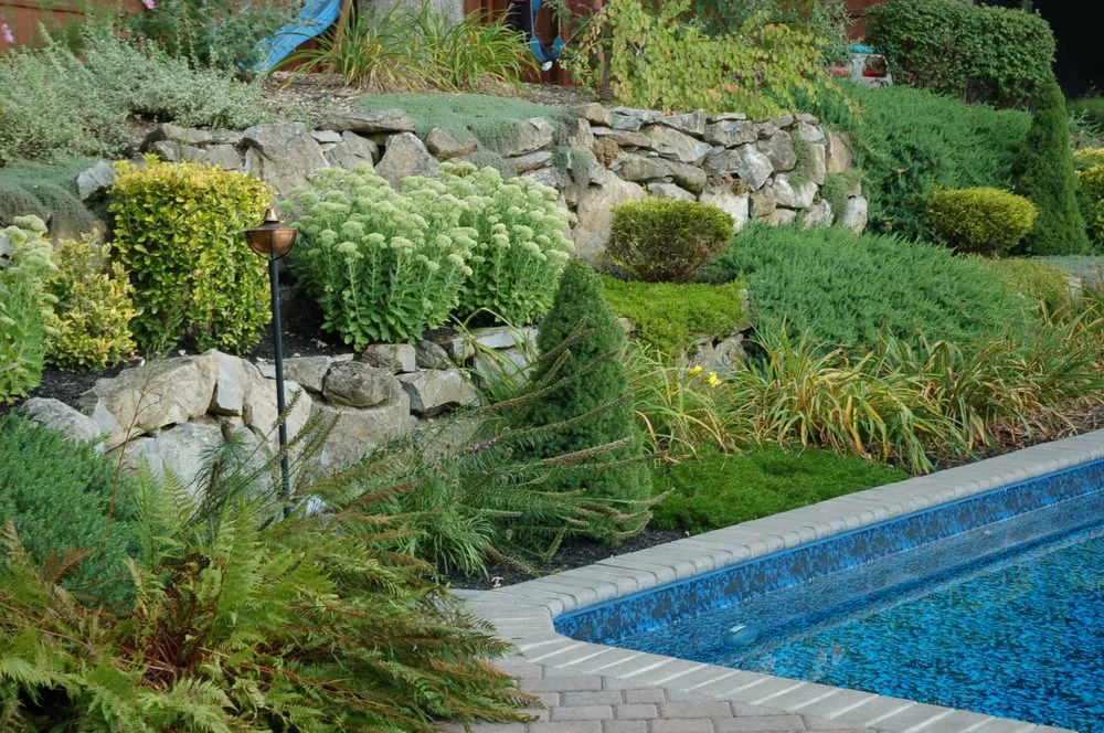 Expert lawn care service in Commack, NY - Splendor Landscaping Designs