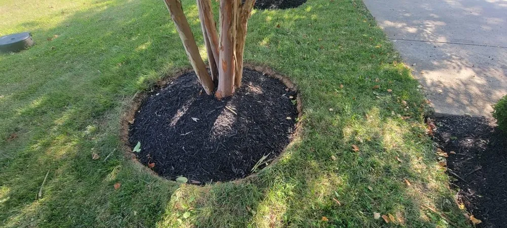 Affordable yard maintenance for outdoor upgrades across Berryville, VA - Spm Landscaping Services