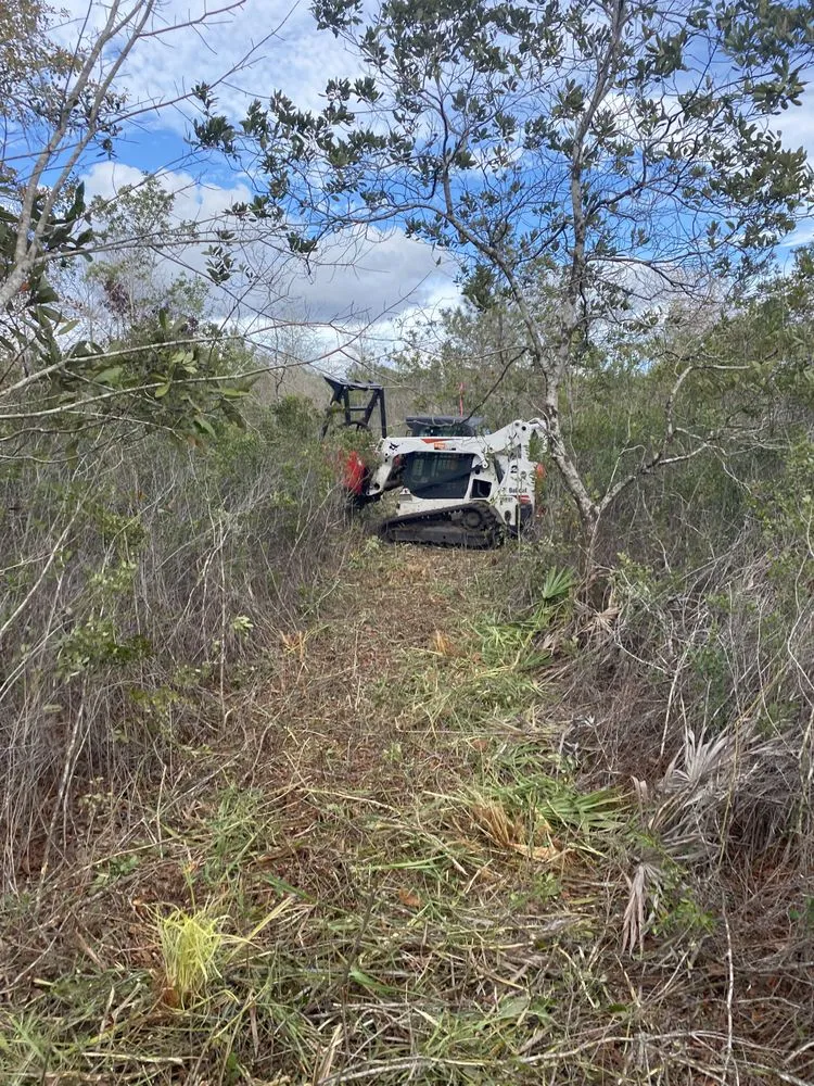 Affordable garden landscaping in Brunswick, GA - SPM Services